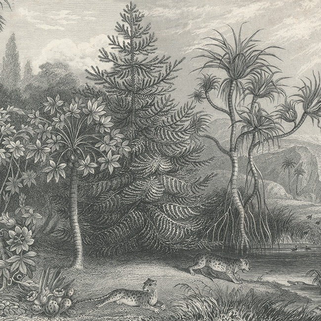 Jungle Land Vintage Wallpaper (SqM)