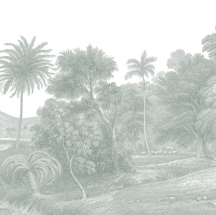 Jungle Land Verdant Wallpaper (SqM)