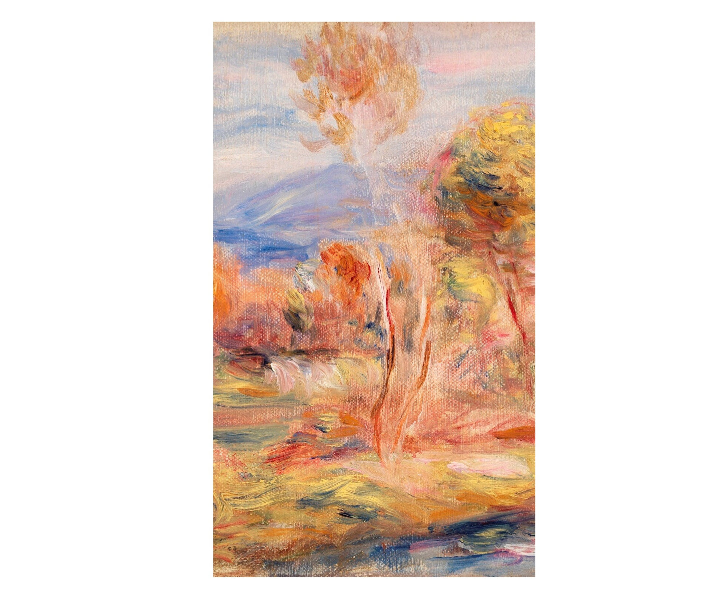 Morning Glade Mural Wallpaper (SqM)