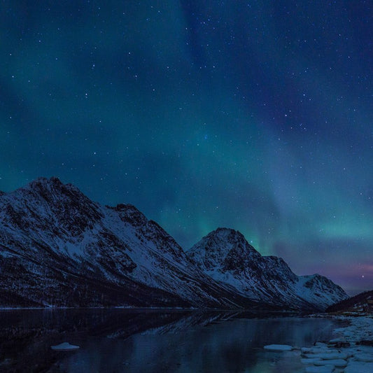 Northern Lights View Mural Wallpaper (SqM)