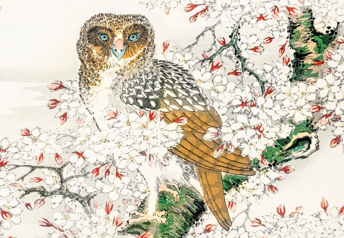 The Owl Mural Wallpaper (SqM)