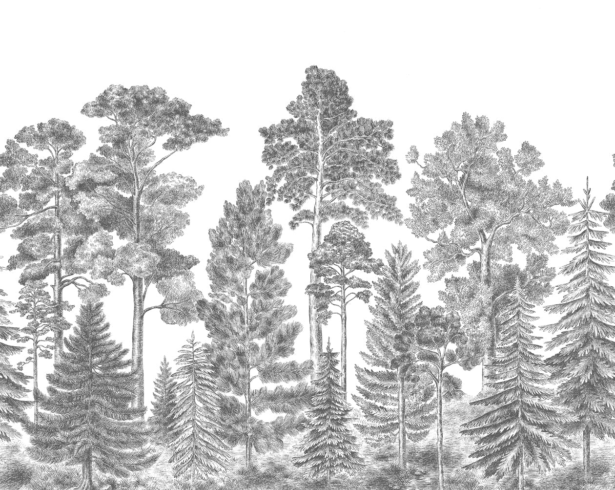 Bellewood Scandinavian Gray Mural Wallpaper (SqM)