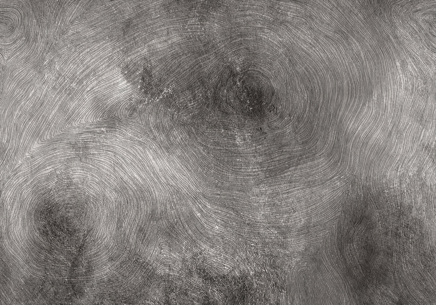 Serenity Grey Wood Mural Wallpaper (SqM)