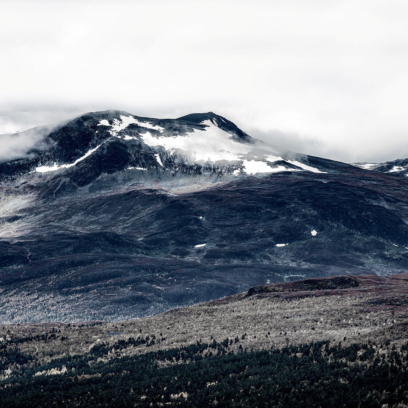 The Wild North Mountains Mural Wallpaper (SqM)