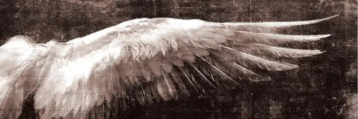 Angel Wings Large Wall Art Canvas Prints