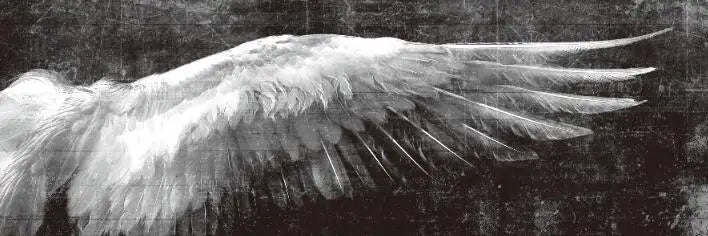 Angel Wings Large Wall Art Canvas Prints
