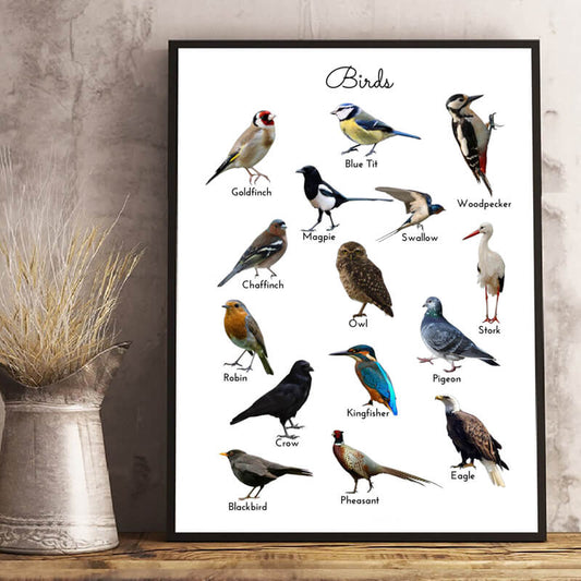 Birds Study Minimalist Canvas Print