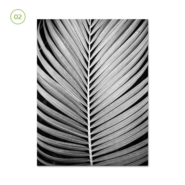 Black White Minimalist Botanic Canvas Prints
