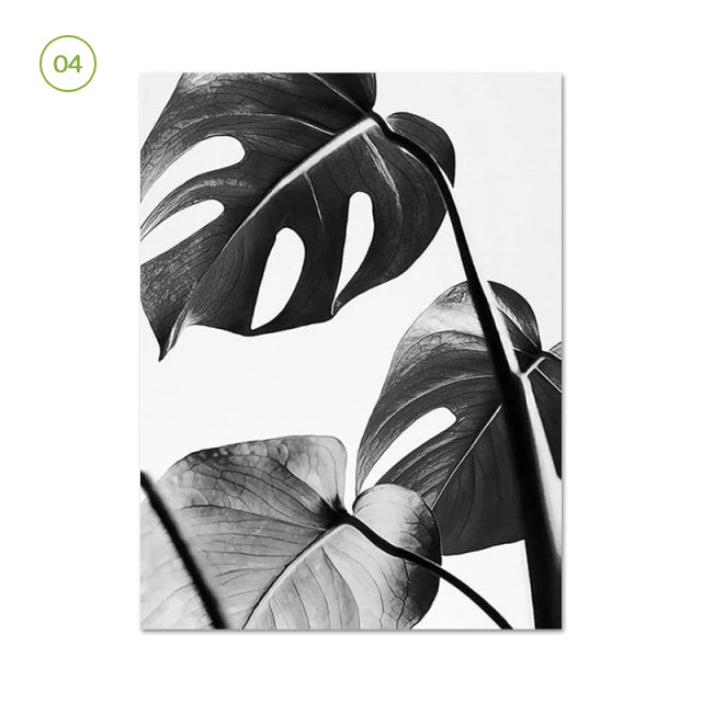 Black White Minimalist Botanic Canvas Prints