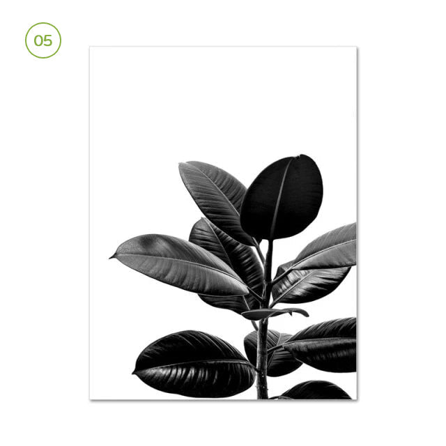 Black White Minimalist Botanic Canvas Prints