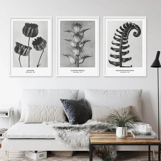 Botanical Black White Vintage Flowers Canvas Wall Art