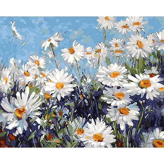 DIY Paint By Numbers - Chamomile Field Painting Canvas