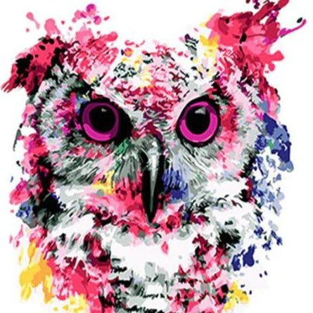 DIY Paint By Numbers - Owl Painting Canvas