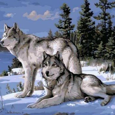 DIY Paint By Numbers - Wolves Couple Painting Canvas