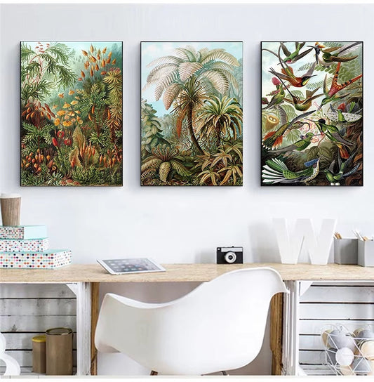 Ernst Haeckel Palm Tree Amazonian Jungle Canvas Prints