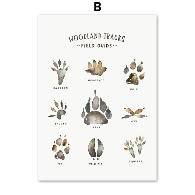 Fox Raccoon Owl Wolf Woodland Animals Canvas Prints