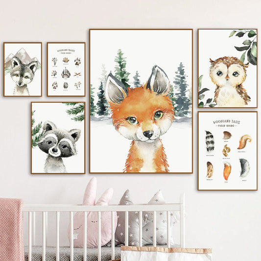 Fox Raccoon Owl Wolf Woodland Animals Canvas Prints