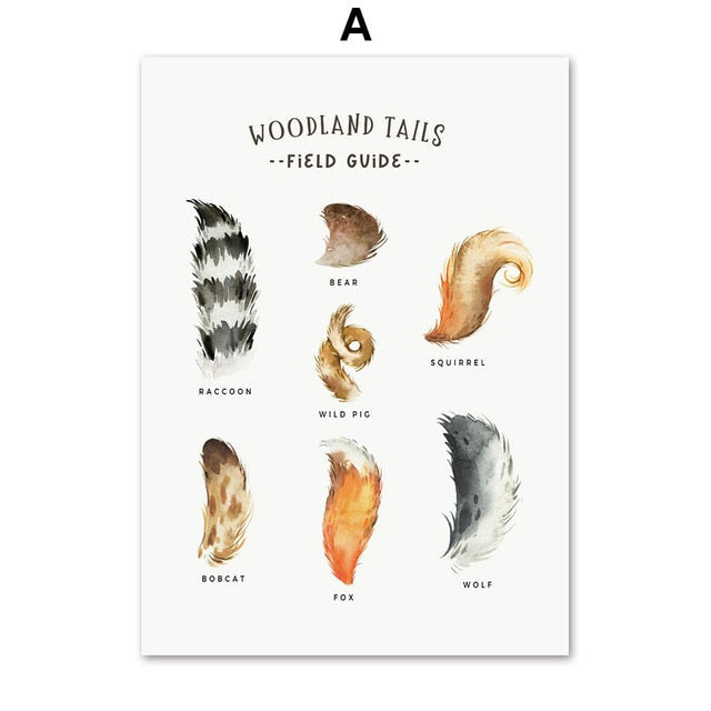 Fox Raccoon Owl Wolf Woodland Animals Canvas Prints