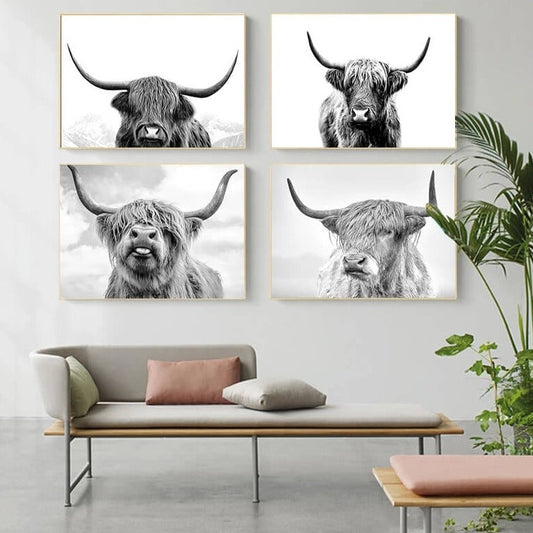 Highland Cattles Black and White Canvas Prints