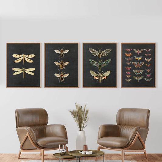 Nature Insect Moth Butterfly Dragonfly Canvas Prints