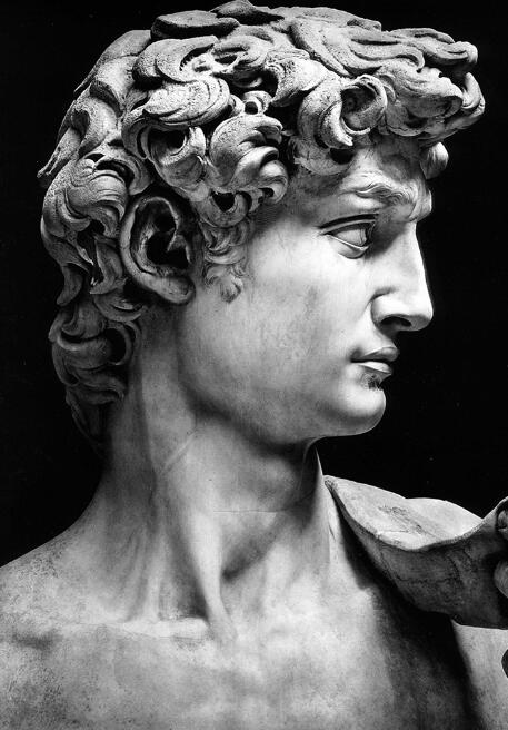 Michelangelo David statue bust black and white large dark print canvas wall art