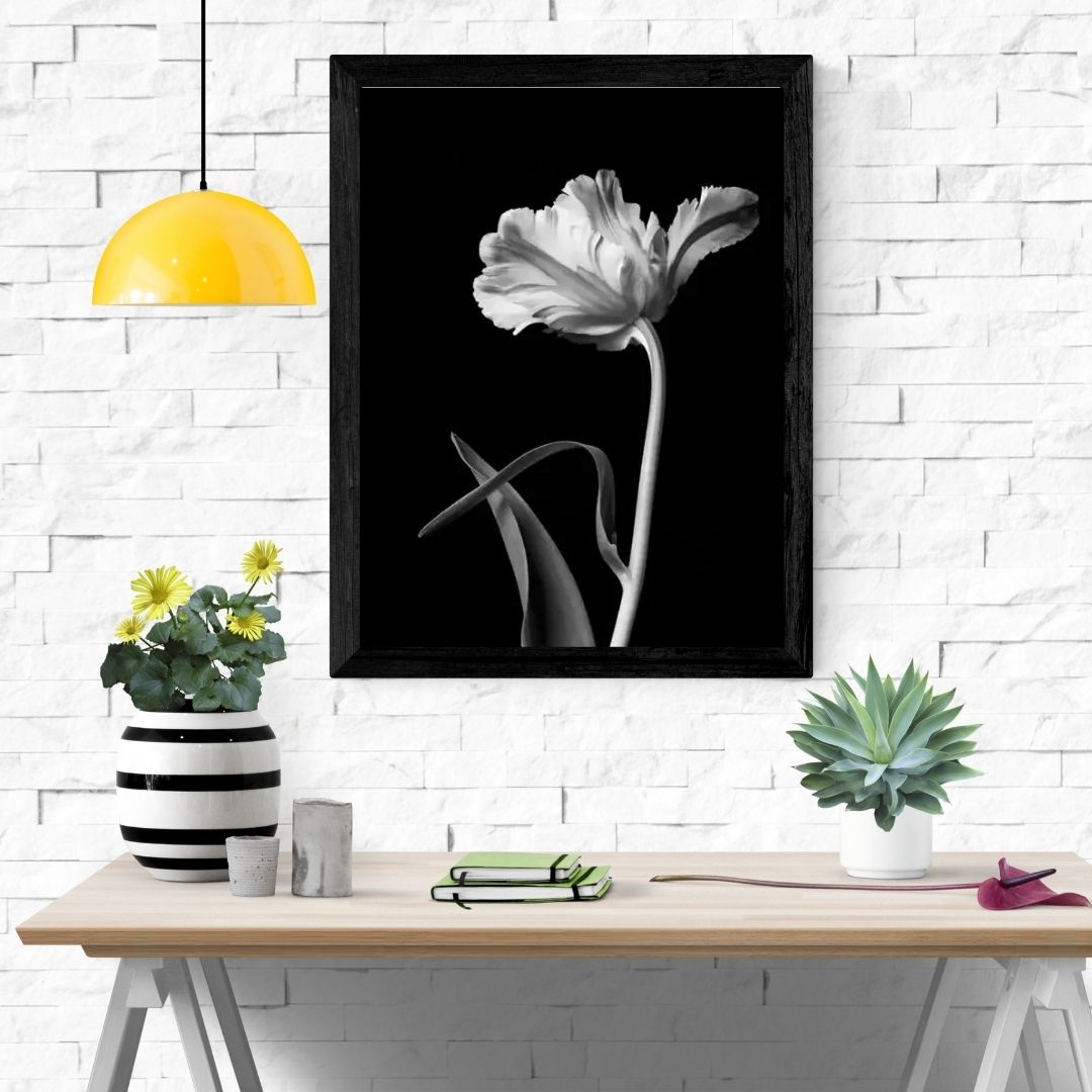 Minimalist Modern Black and White Floral Wall Art Canvas Prints