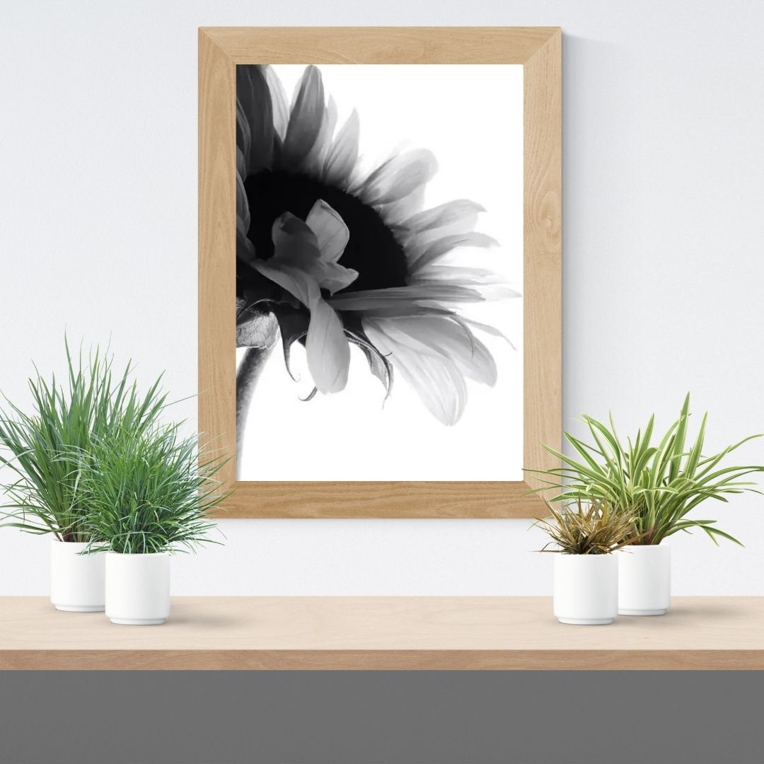 Minimalist Modern Black and White Floral Wall Art Canvas Prints