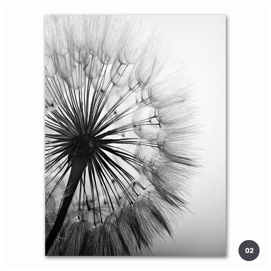 Modern Minimalist Black & White Dandelion Canvas Print
