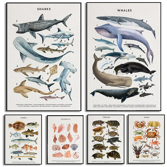 Whale Shark Seashells Turtles Octopus Fish Marine Life Educational Canvas Print