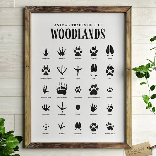 Woodland Animals Tracks Print Minimalist Poster Wall Art
