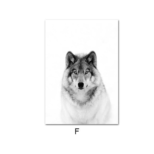 Mystical Wolf Mountain Landscape Feather Skull Dream Catcher Canvas Prints
