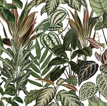 Jungle by Day, Monkeys Mural Wallpaper (SqM)
