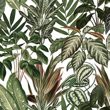 Jungle by Day, Monkeys Mural Wallpaper (SqM)