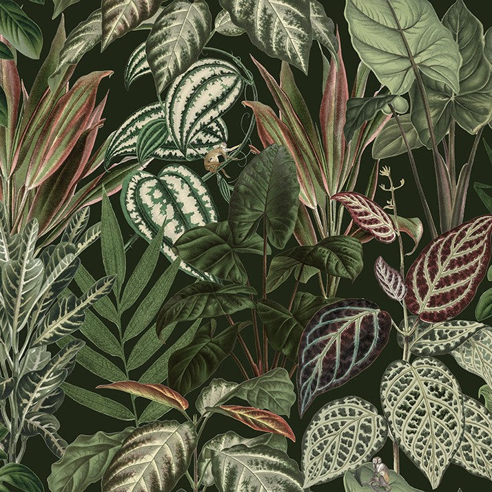 The Night Jungle Lush, Mischievous Monkeys Mural Wallpaper (SqM)