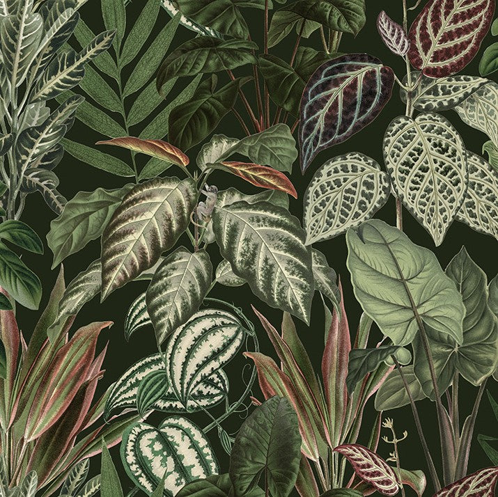 The Night Jungle Lush, Mischievous Monkeys Mural Wallpaper (SqM)