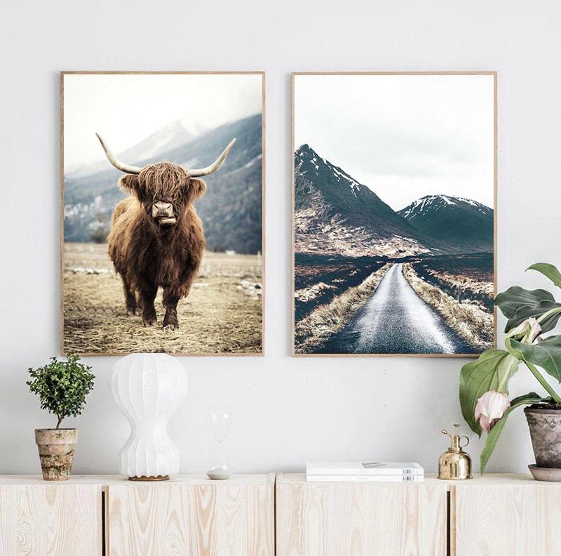 Nordic Highland Cattle Canvas Print