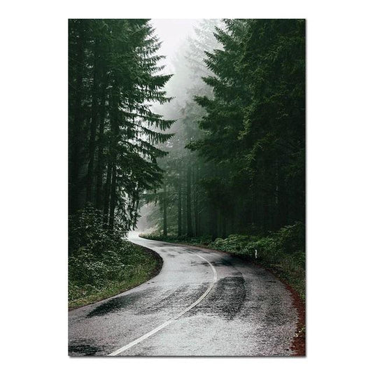 Scandinavian Forest Road Canvas Print