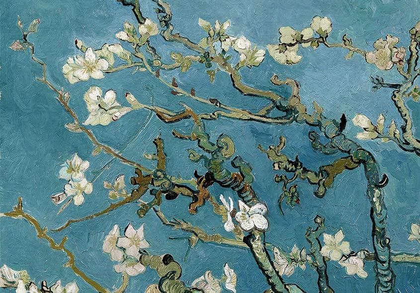 Almond Blossoms - Blue Wallpaper main image 0
