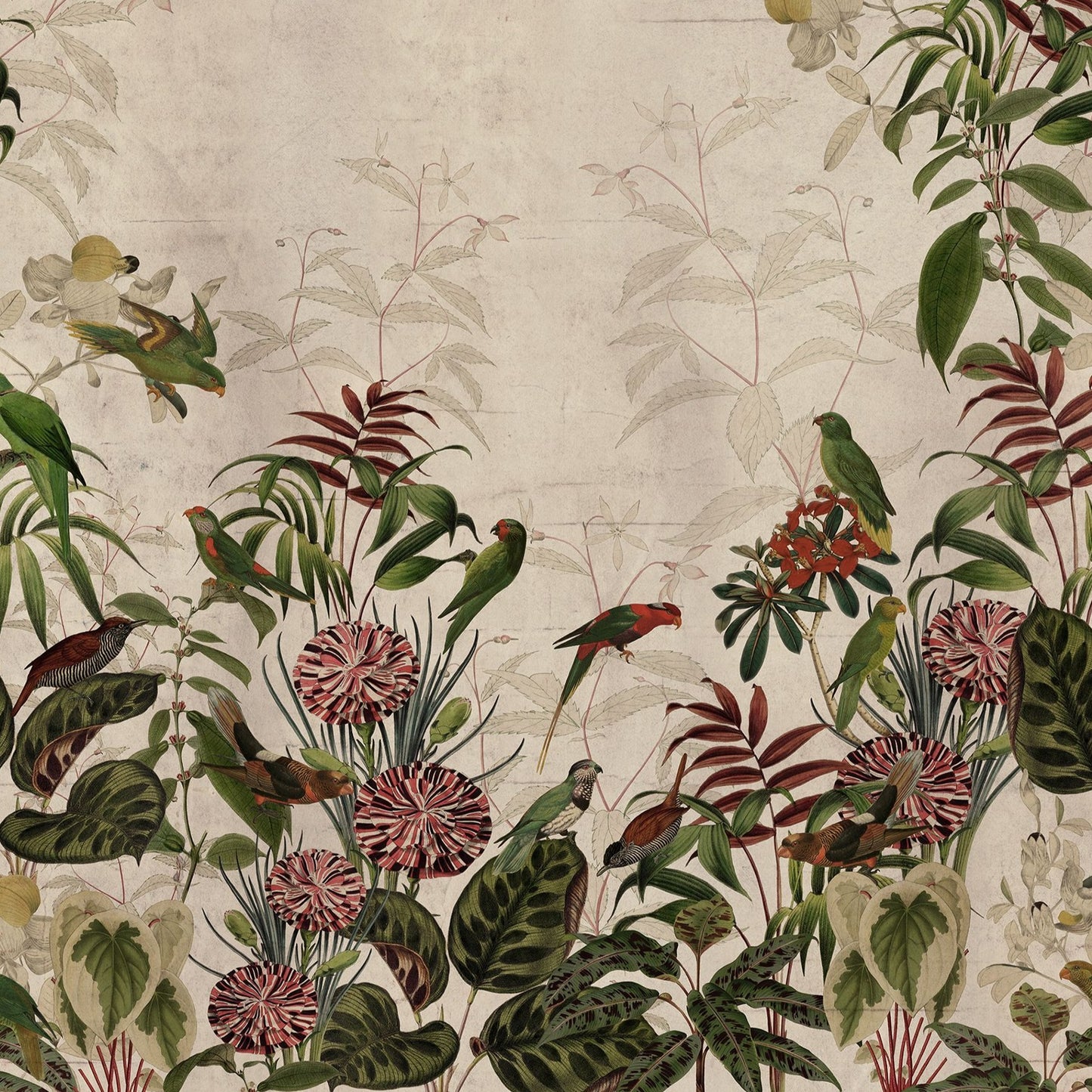 Jungle Lush Vigor Coral Mural Wallpaper (SqM)