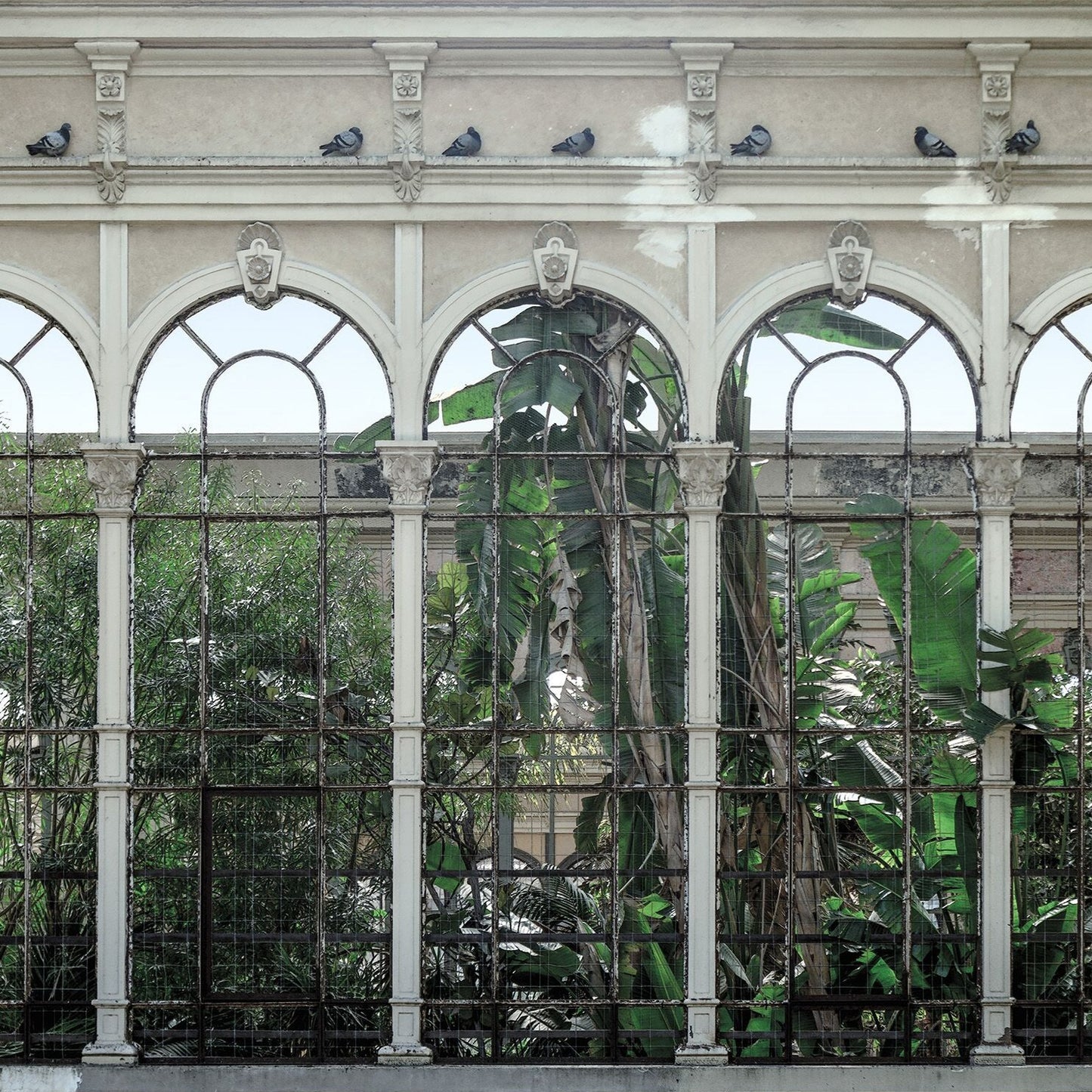 Dove's Garden Mural Wallpaper (SqM)