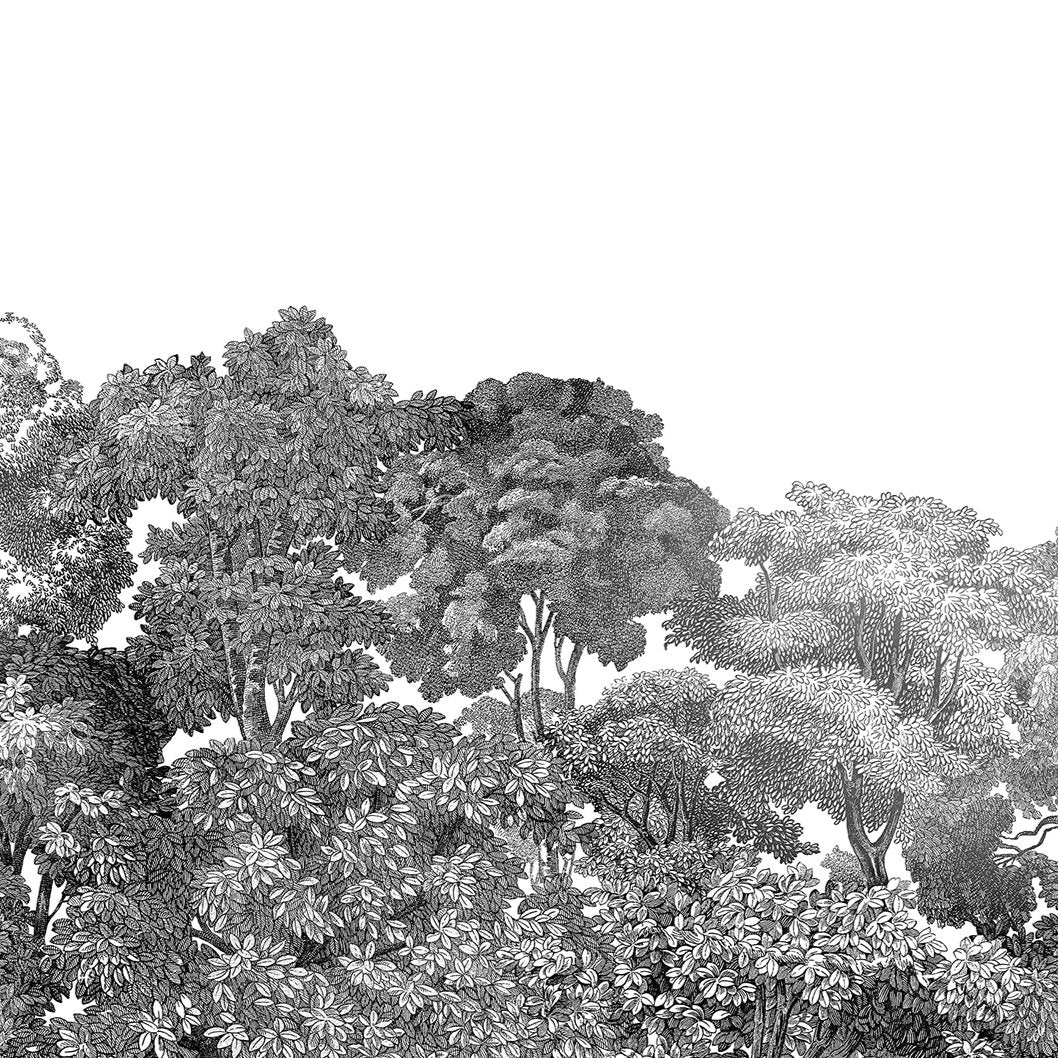Jass London Black and White Trees Mural Wallpaper