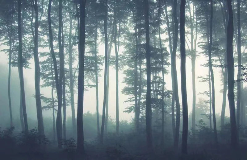 Blue Forest Mist Mural Wallpaper (SqM)