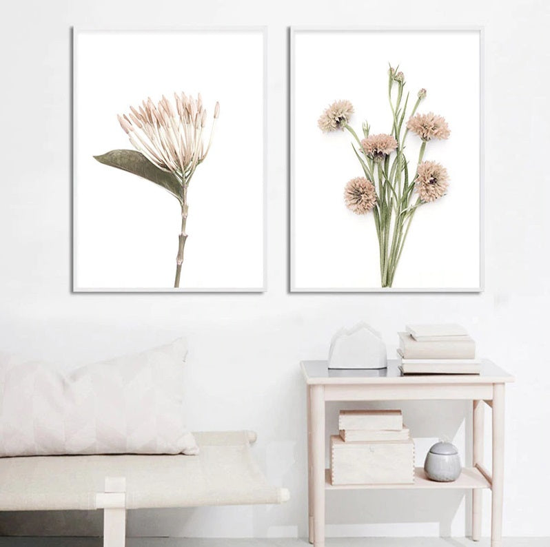 Protea Nordic Wild Flowers Canvas Print