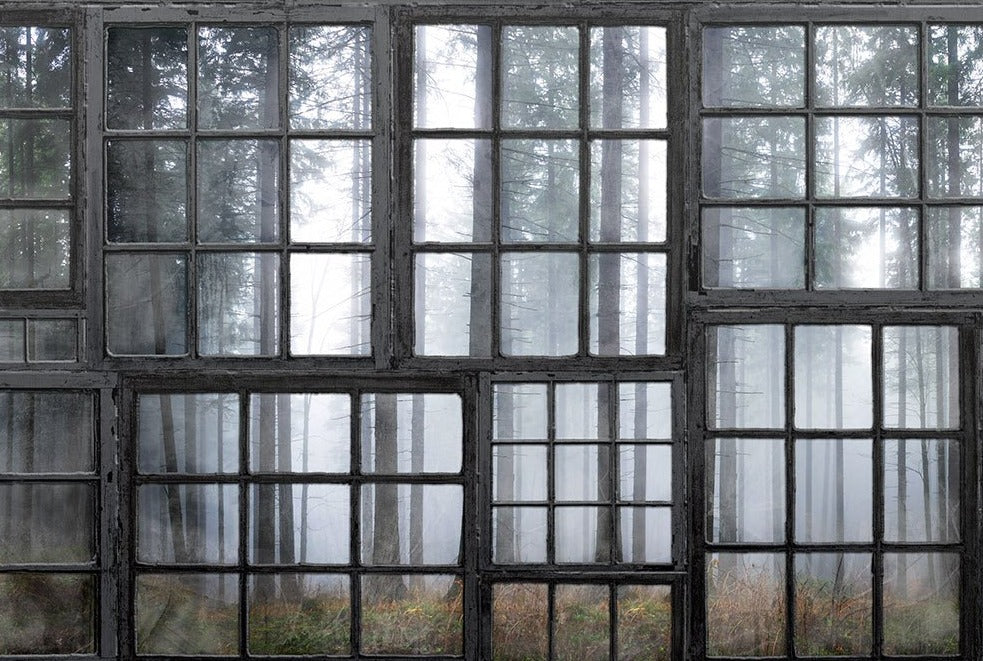 Cabin Forest View Mural Wallpaper (SqM)