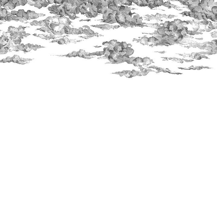 Cotton Black Skies Mural Wallpaper (SqM)