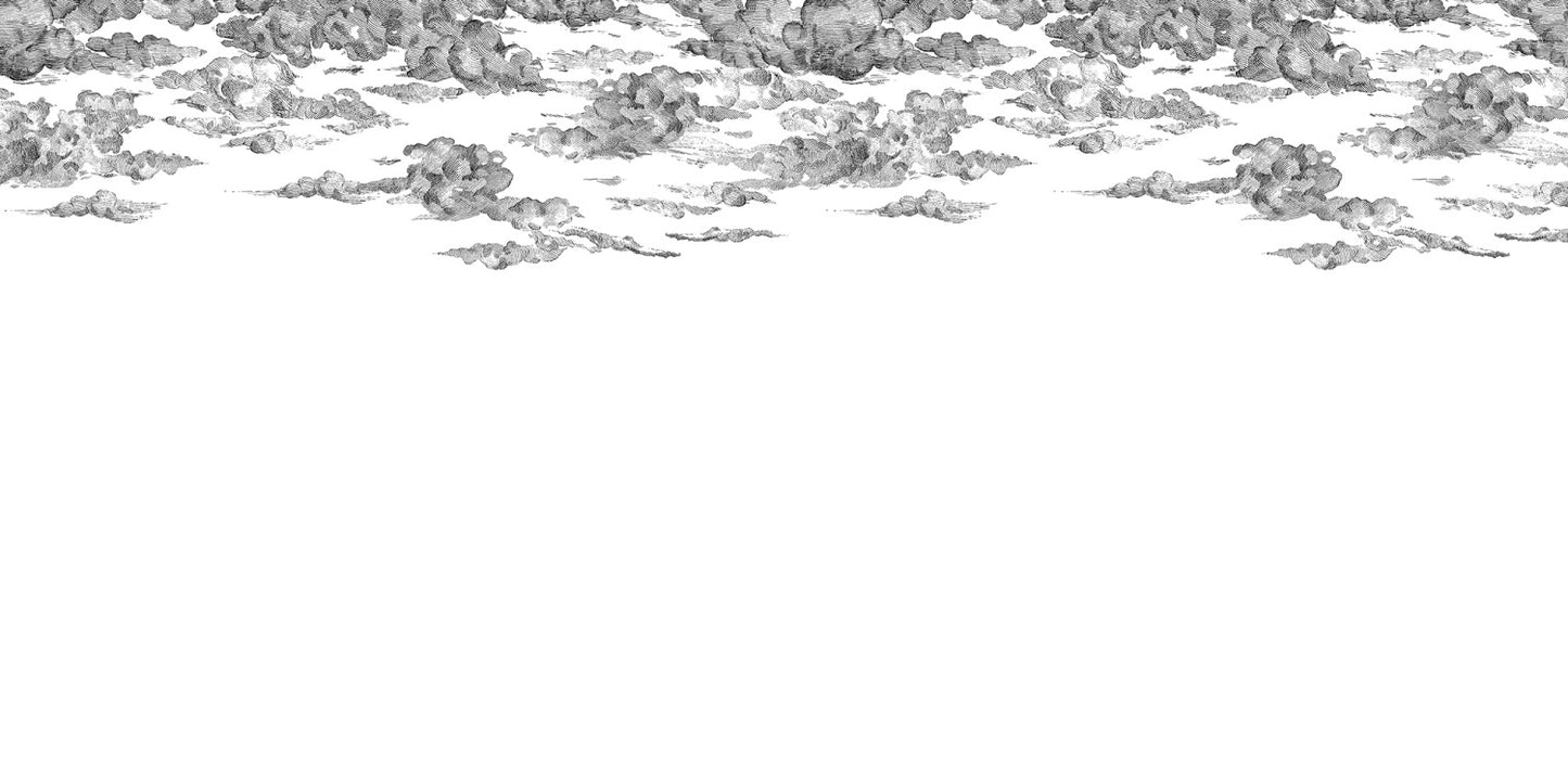 Cotton Black Skies Mural Wallpaper (SqM)