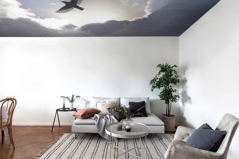 sky wallpaper for ceilings uk