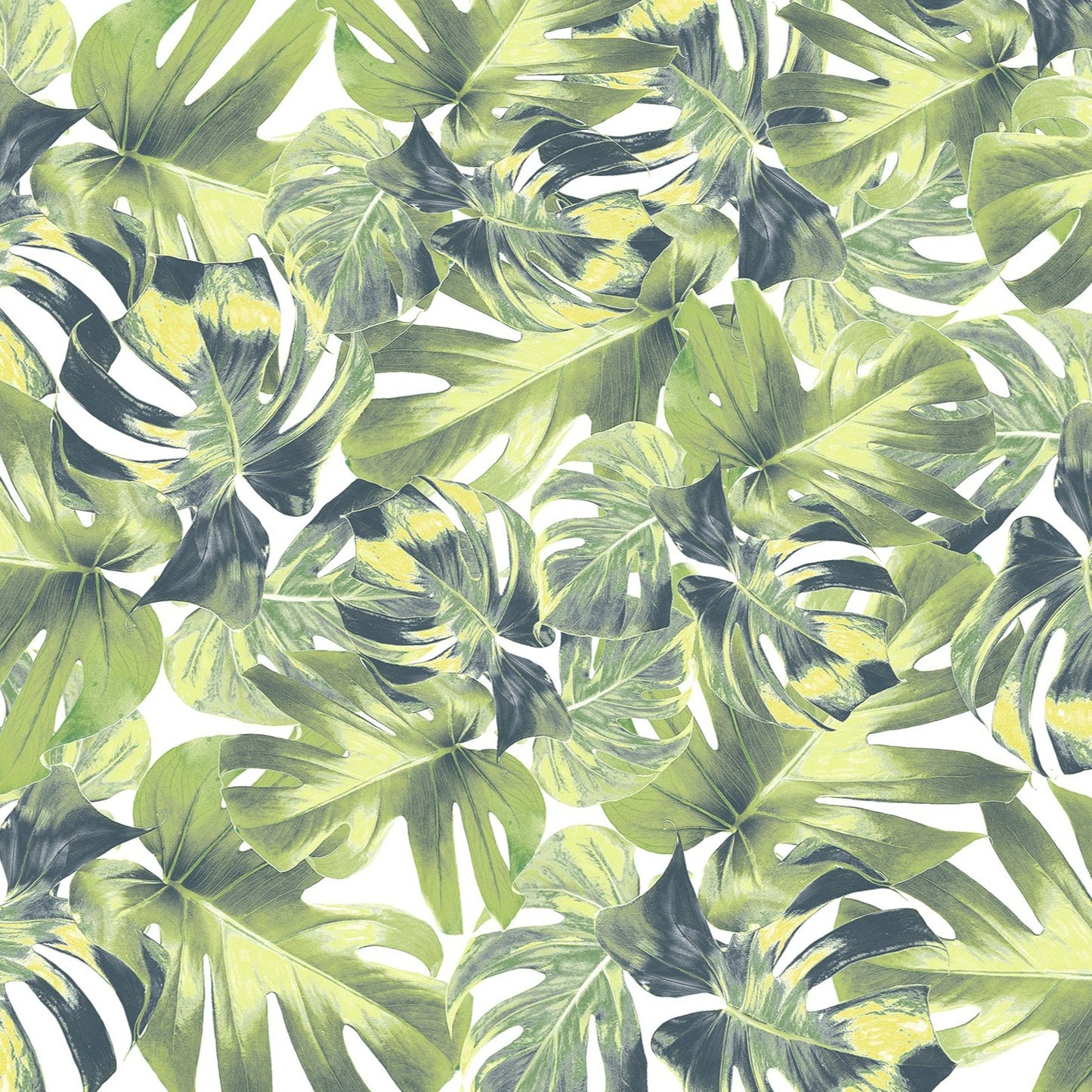 Jungle Giant Monstera Mural Wallpaper (SqM)