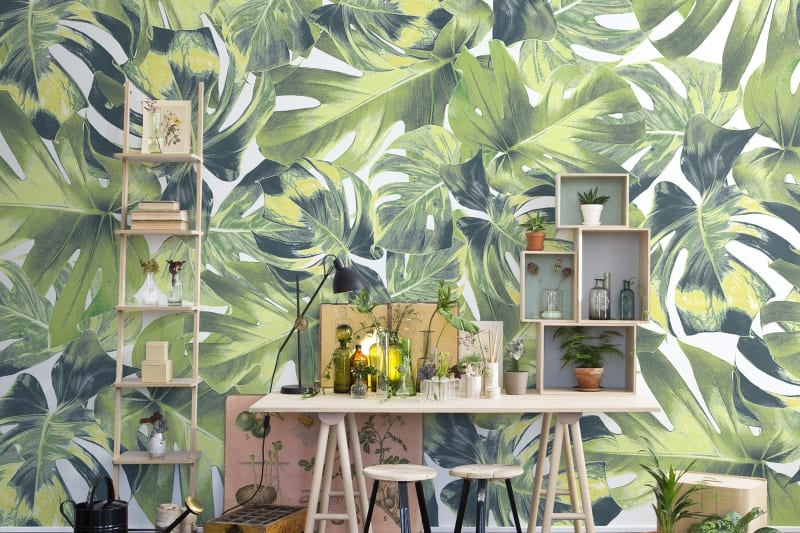 Jungle Giant Monstera Mural Wallpaper (SqM)