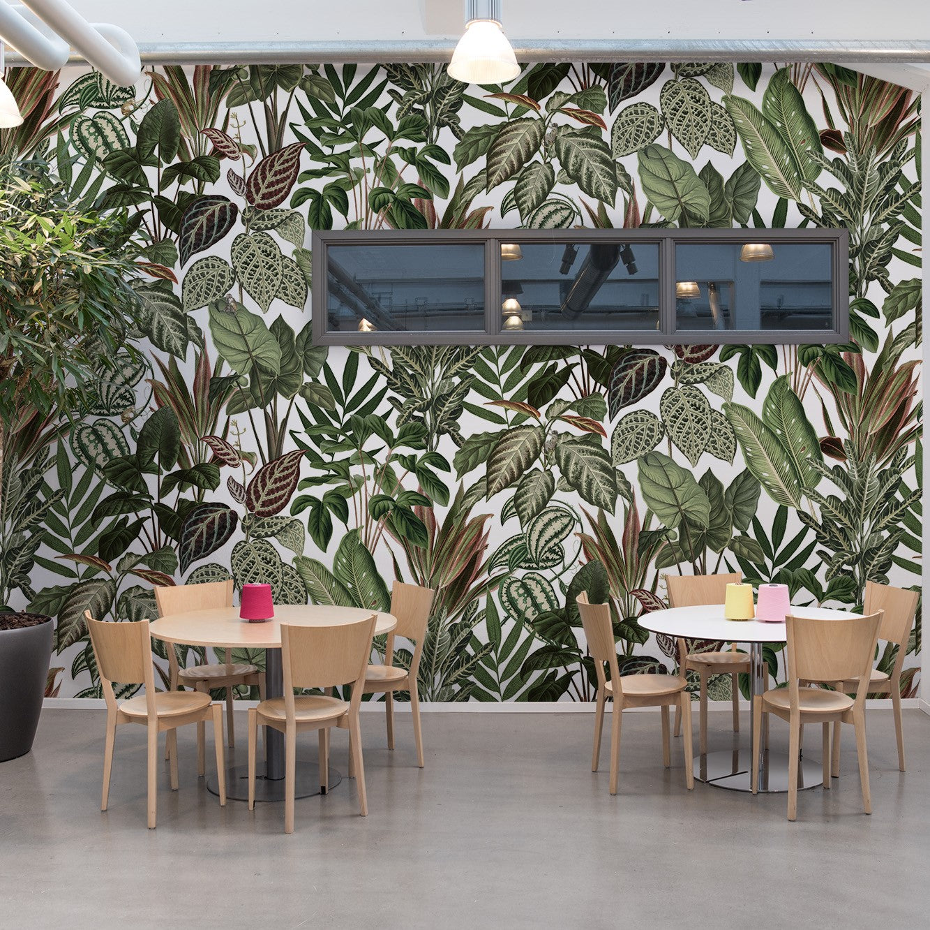 Jungle by Day, Monkeys Mural Wallpaper (SqM)